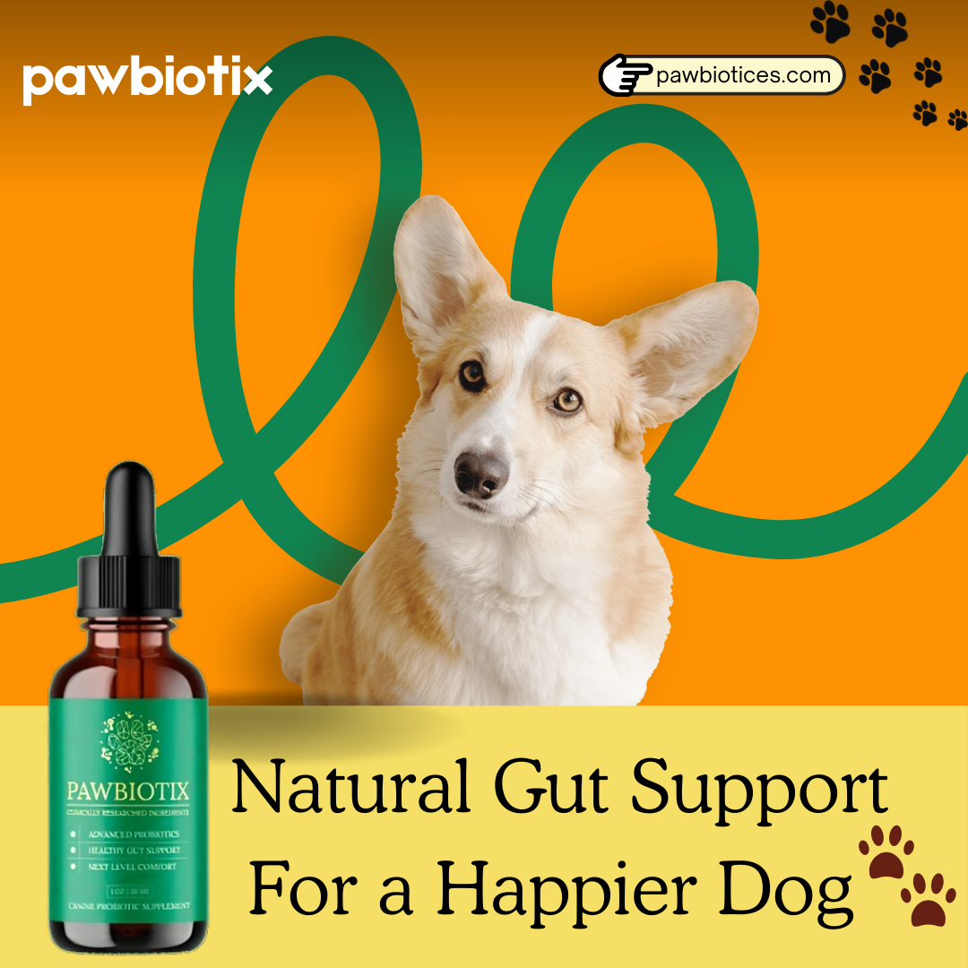 Pawbiotix — Canine Probiotic Supplement